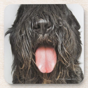 Studioschuß Untersetzer