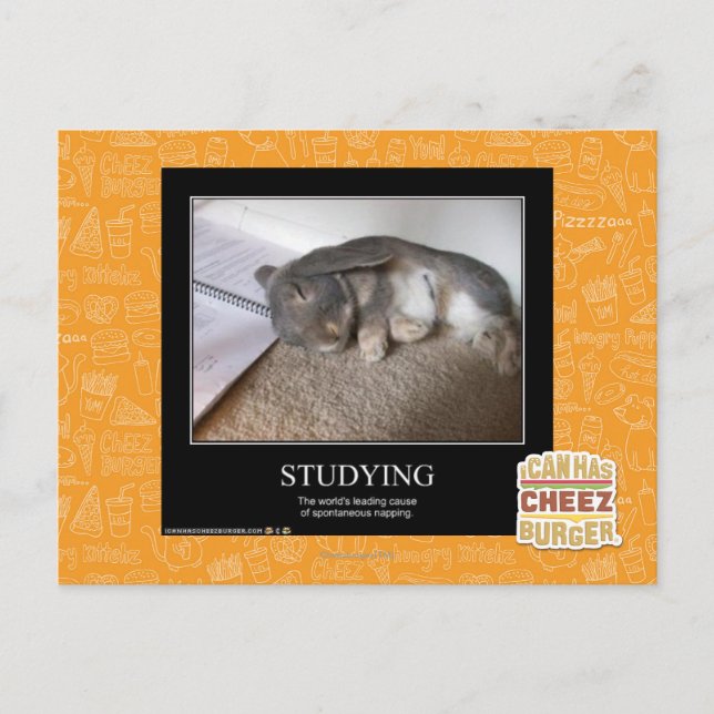 Studium Postkarte (Vorderseite)