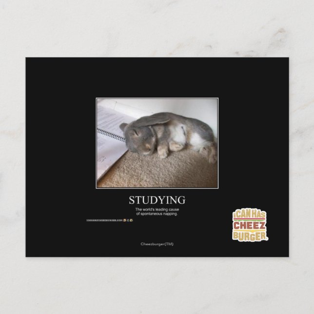 Studium Postkarte (Vorderseite)