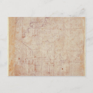 Study of a Head, 1525-26 Postkarte