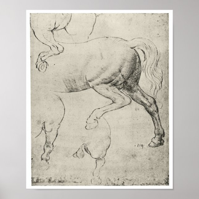 Study of the Hindquarters of a Horse, Da Vinci Poster (Vorne)