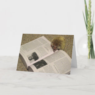 Studying Hedgehog Graduation Card Karte