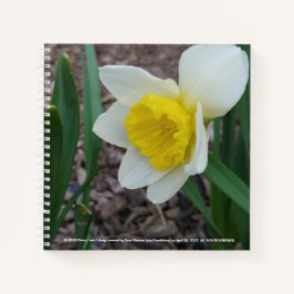 Stuff I Like Notebook von RoseWrites Notizbuch