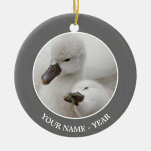 Stummer SchwanCygnets Keramikornament