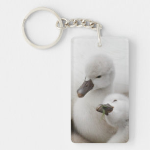 Stummer SchwanCygnets Schlüsselanhänger
