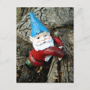 Stumped Gnome Postkarte