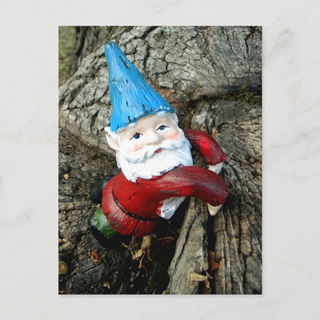Stumped Gnome Postkarte (Vorderseite)