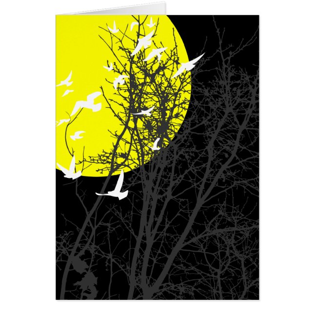 Stumpfvögel (Vorne)