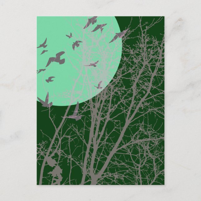 Stumpfvögel Postkarte (Vorderseite)