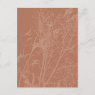 Stumpfvögel Postkarte