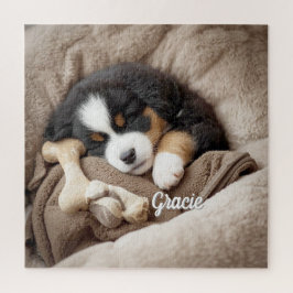 Stunning Bernese Mountain Dog Personalized