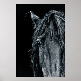 Stunning black horse portrait poster
