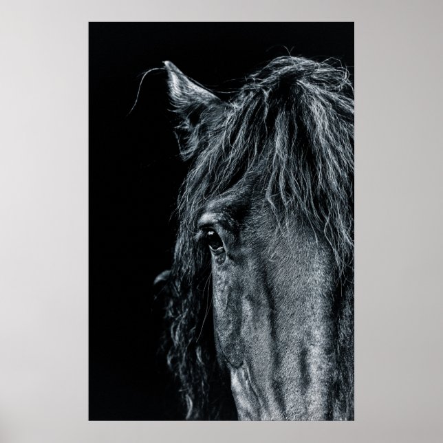 Stunning black horse portrait poster (Vorne)