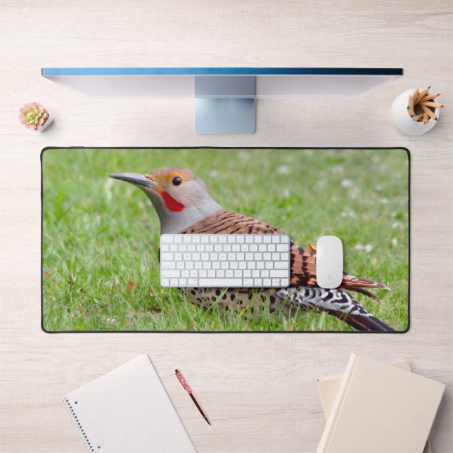 Stunning Northern Flicker Foraging in the Grass Schreibtischunterlage (Büro 1)