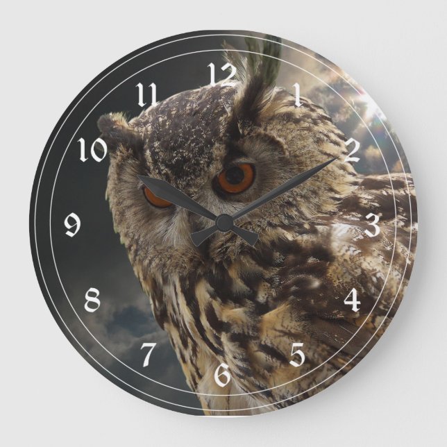 Stunning Owl Photography Series Große Wanduhr (Vorderseite)