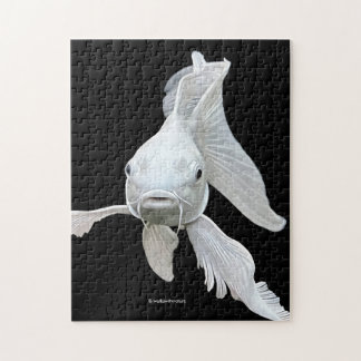 Stunning Platinum Butterfly Koi Carp