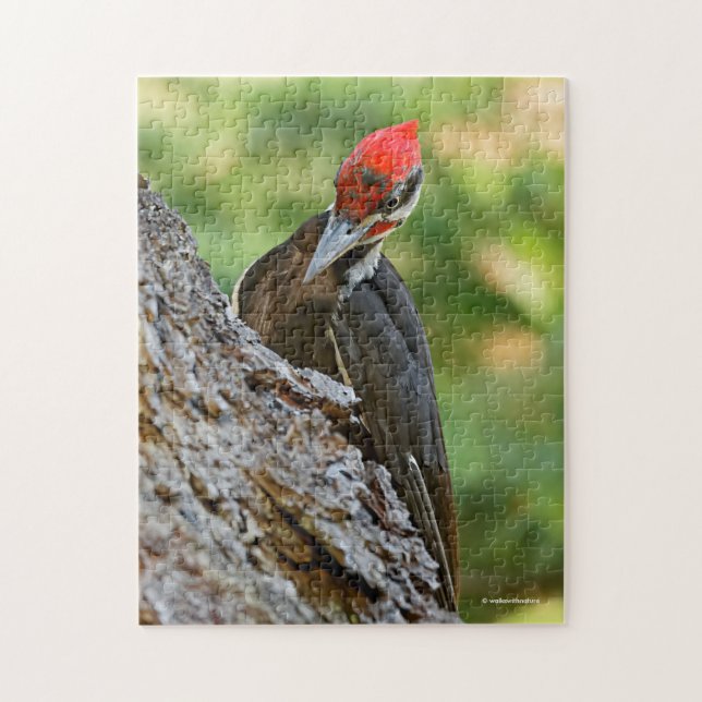 Stunning Portrait of Pileated Woodpecker on Tree (Vertikal)