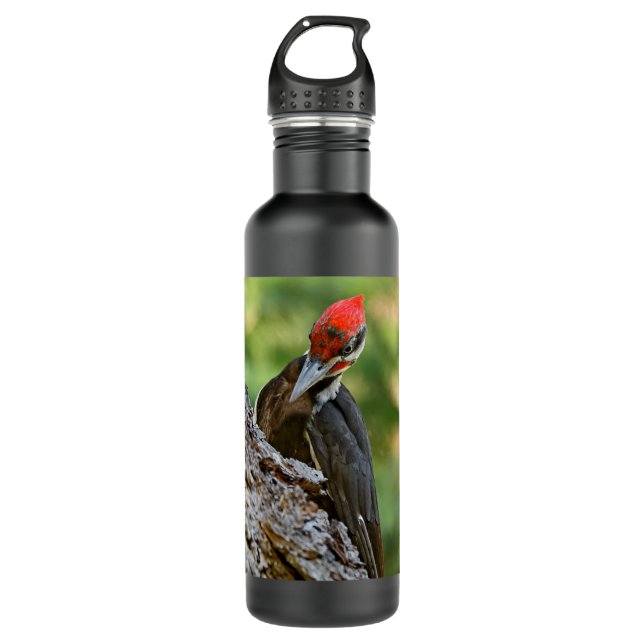 Stunning Portrait of Pileated Woodpecker on Tree Edelstahlflasche (Vorderseite)
