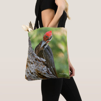 Stunning Portrait of Pileated Woodpecker on Tree Tasche