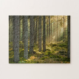 Stunning Scenes 11"x 14"