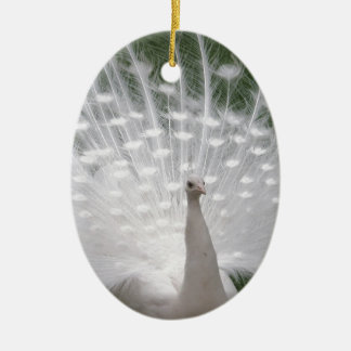 Stunning white Peacock (Peafowl) full plume Keramikornament