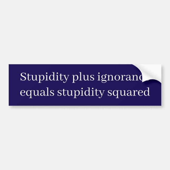 Stupidity and ignorance quote autoaufkleber (Vorne)
