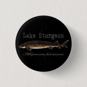 Sturgeon Button