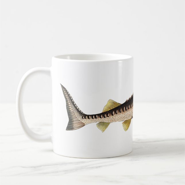 Sturgeon Fish Tasse (Links)