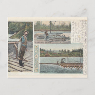 Sturgeon Lmon Wheel Postcard Postkarte