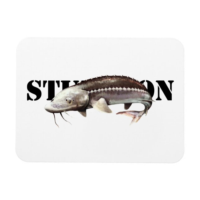 Sturgeon Magnet (Horizontal)