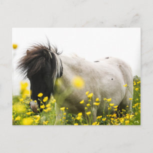 Sturm auf einer Postkarte