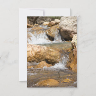 Sturmbach im Frühling