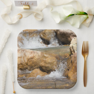 Sturmbach im Frühling Pappteller