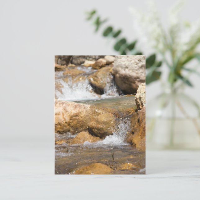 Sturmbach im Frühling Postkarte (Stehend Vorderseite)