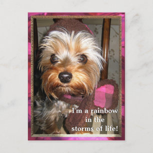 Stürme der Lebenspostkarte Postkarte