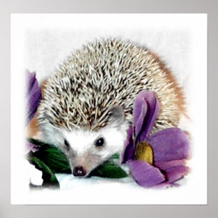 Stürmisch der Igel Poster