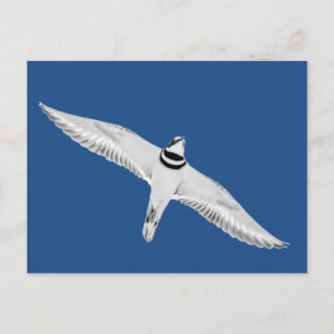 Stürmischer Tod auf blau Postkarte
