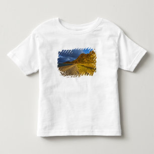 Stürmisches Licht auf Isla Carmen im Golf von Kleinkind T-shirt