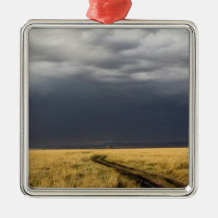 Sturmwolken und Straße über gasförmigen Ebenen der Silbernes Ornament