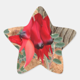 Sturt's Wüste Pea-Sternenaufkleber Stern-Aufkleber