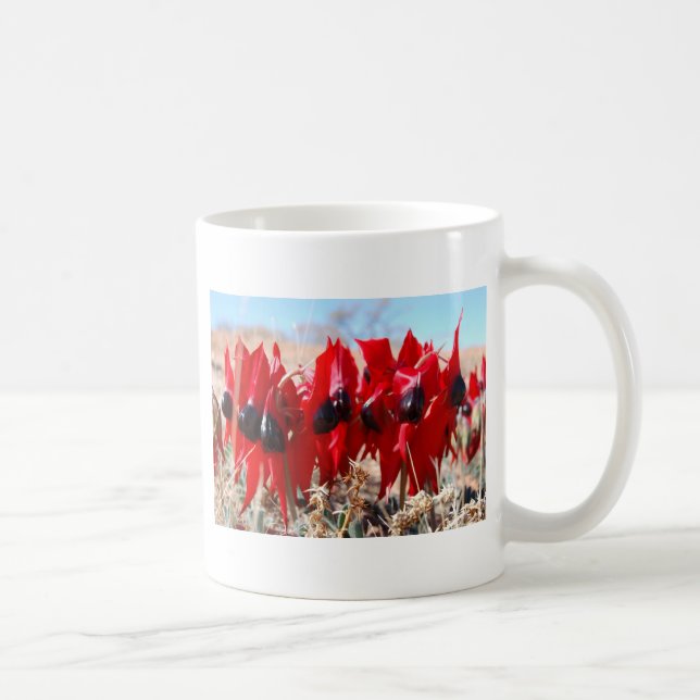 Sturts Wüsten-Erbse Kaffeetasse (Rechts)