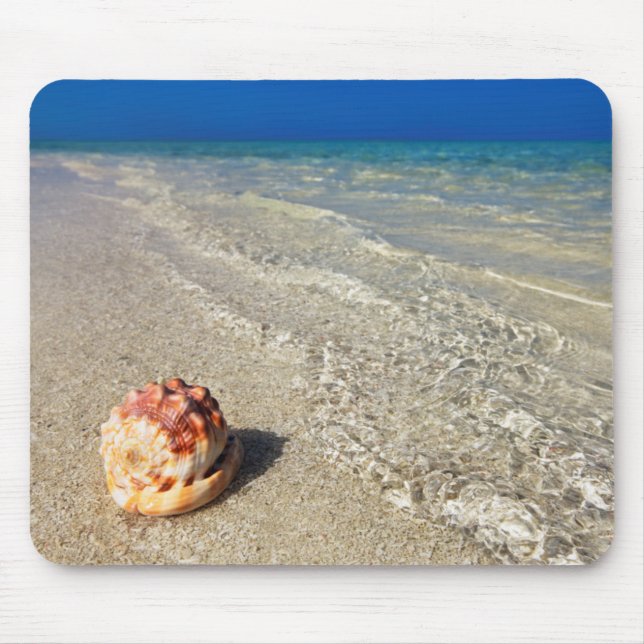 Sturzhelm-Muschel in tropischem Lagoon| Cassis Mousepad (Vorne)