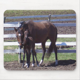 Stute und Colt Mousepad