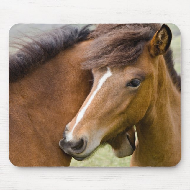 Stute und Fohlen Mousepad (Vorne)
