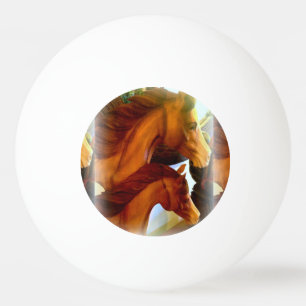 Stute und Pony Ping-Pong-Ball Tischtennisball