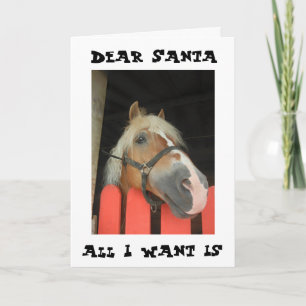 STUTE WILL "NUR IHR FÜLLEN" VON SANTA DIESES JAHR FEIERTAGSKARTE