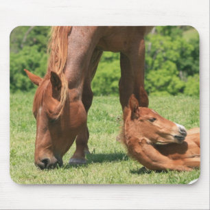 Stuten-und Colt-Mausunterlage Mousepad