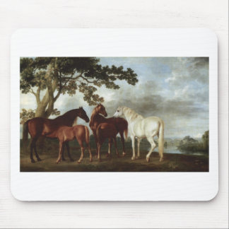 Stuten und Fohlen in einer Fluss-Landschaft George Mousepad