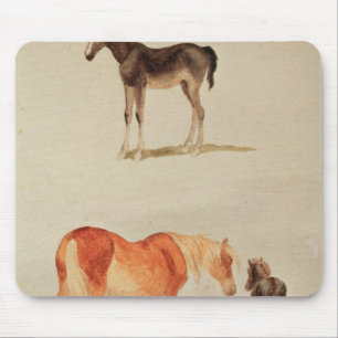 Stuten und Fohlen Mousepad