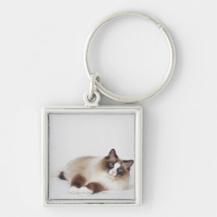 Stützende Katze Schlüsselanhänger
